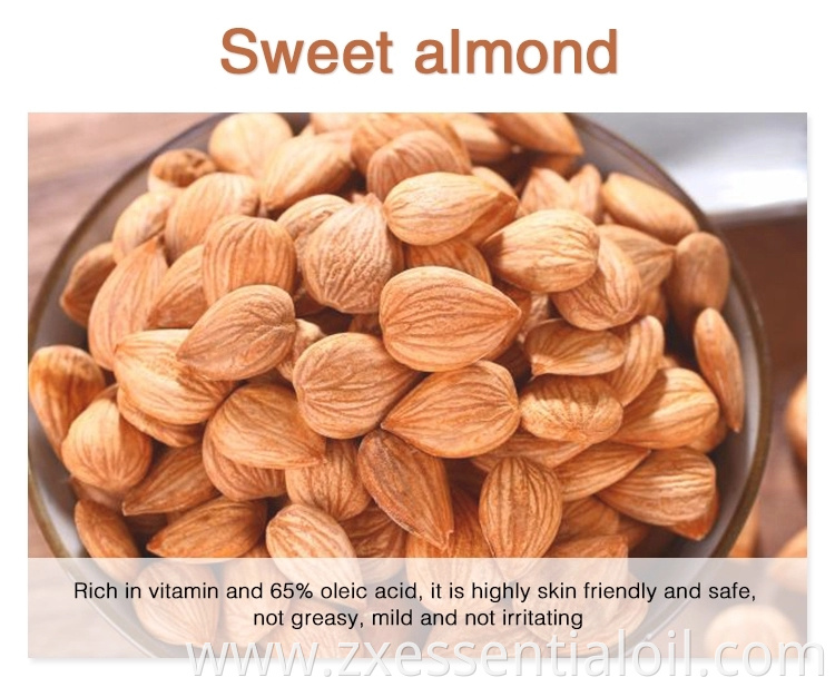 Wholesale 100% Organic Pure Sweet almond oil